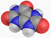 Uric acid molecule