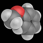 Anisole molecule
