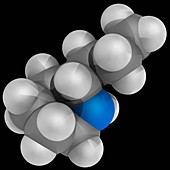 Coniine molecule