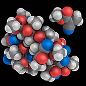 Cyanoacrylate molecule