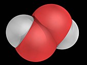 Hydrogen peroxide molecule