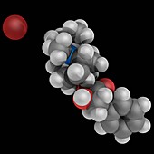 Ipratropium bromide drug molecule