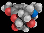 Oxycodone drug molecule