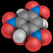 Picric acid molecule