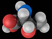 Threonine molecule