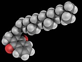 Vitamin K1 molecule