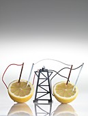 Electrical circuit with lemons