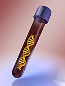 Medical test tube with blood and DNA