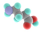 Gamma-aminobutyric acid GABA molecule