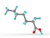 Lysine molecule