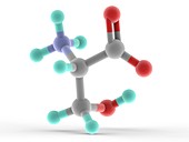 Serine molecule