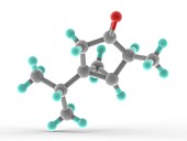 Thujone molecule