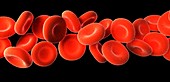 Red blood cells,artwork