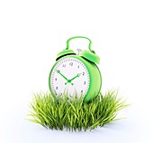 Alarm clock and grass,artwork