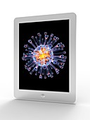 Tablet computer,flu virus particle
