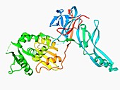VMA-1 derived endonuclease molecule