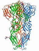 Dengue virus surface protein molecule
