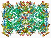 Archaeon enzyme,molecular model