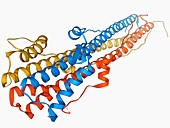 Haemagglutinin protein subunit
