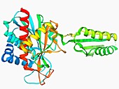 Plant hormone regulator,molecular model