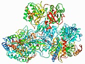 Respiratory complex I