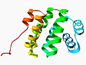 Programmed cell death protein molecule