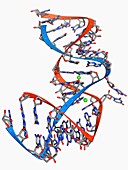 Internal ribosome entry site