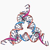 Self-assembled DNA triangle