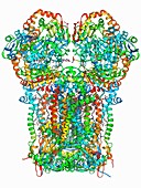 Cytochrome BC1 molecule