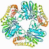 Beta-lactamase-like protein 2 molecule