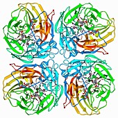 Flu virus surface protein and drug