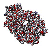 Alemtuzumab Fab fragment molecule