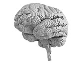 Brain pixelated,artwork