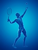 Tennis player,artwork