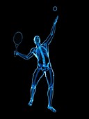 Tennis player,artwork