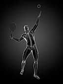 Tennis player,artwork