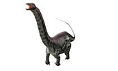 Apatosaurus dinosaur,artwork