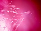 Human sperm,artwork