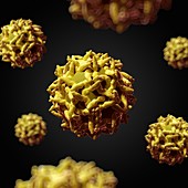 Yellow fever virus,artwork