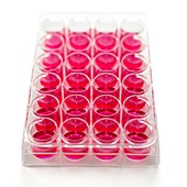 Cell culture plates
