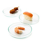 Food testing,conceptual image