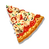 Pizza slice,artwork