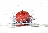 Apple splashing into water,artwork