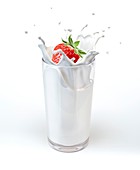 Strawberry falling into milk,artwork