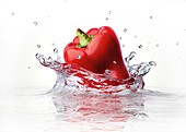 Pepper splashing into water,artwork