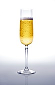 Glass of champagne,artwork
