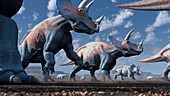Artwork of a herd of triceratops