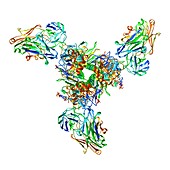 Haemagglutinin viral surface protein