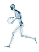 Skeleton playing basketball,artwork