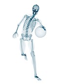 Skeleton playing basketball,artwork